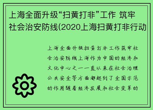 上海全面升级“扫黄打非”工作 筑牢社会治安防线(2020上海扫黄打非行动)